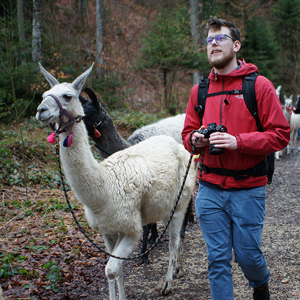 Liam with llama Bianca