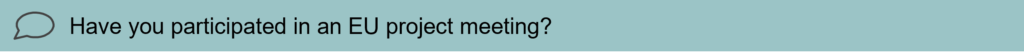 Interview question 6: Have you participated in an EU project meeting?