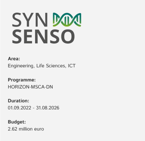 The SYNSENSO project, funded by the HORIZON-MSCA-DN programme, runs from 01.09.2022-31.08.2026. It has a budget of 2.62 million euro and conducts research in the areas of engineering, life sciences and ICT.